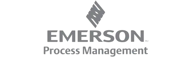 Emerson-Process-Management